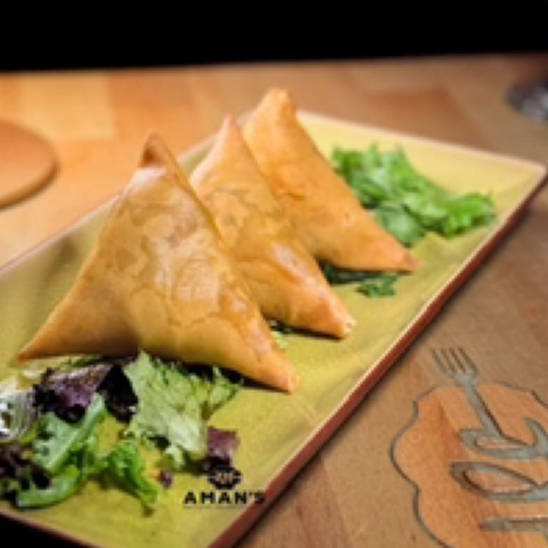 Samosa Delight